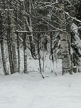 IMG_20221228_134413.jpg