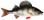 image.jpeg.d2984903ee660cdef9b15aac07e91c9b.jpeg