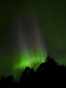 image.thumb.png.10d64d34aa5e1b0f56a39c034fb7511e.png