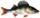 image.jpeg.a18d90edbc7ca5358a122f9499bd9581.jpeg