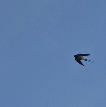 20230510_195337.jpg