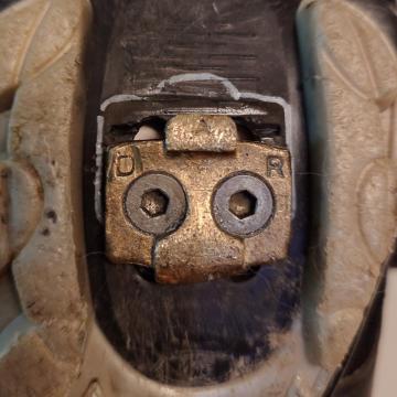20230925_1758462.thumb.JPG.622f879d2a447e0f550425dfe551e761.JPG
