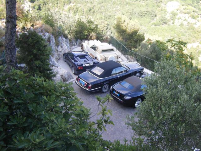 dscf0782.jpg