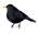 image.jpeg.af720f1f100f1bc28df1e0a458cd0175.jpeg