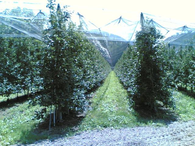 20080702(086).jpg