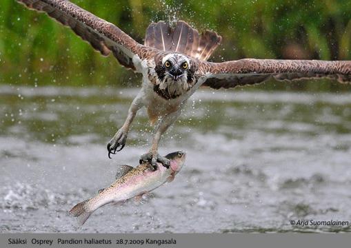 image.thumb.jpeg.65ec2065d3848e6d86e9f74971046794.jpeg
