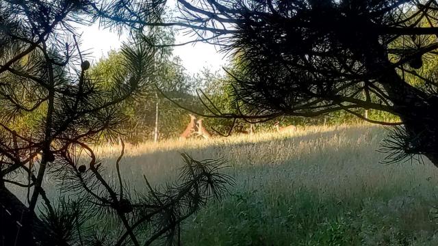 IMG_20240813_070718_hdr.jpg