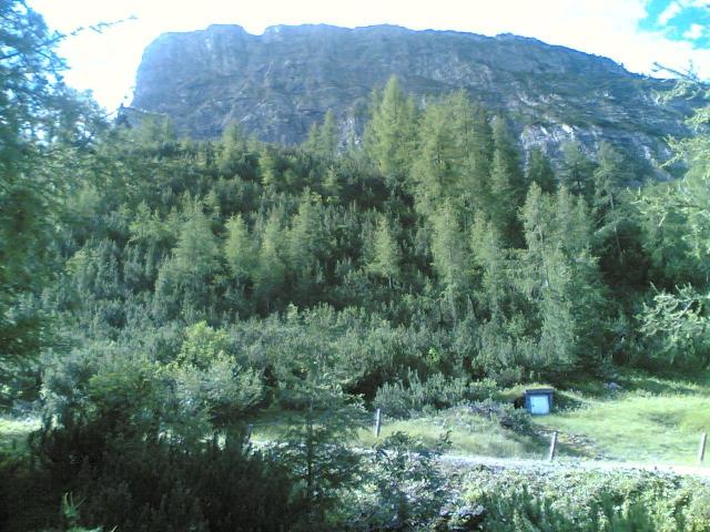 20070713(003).jpg