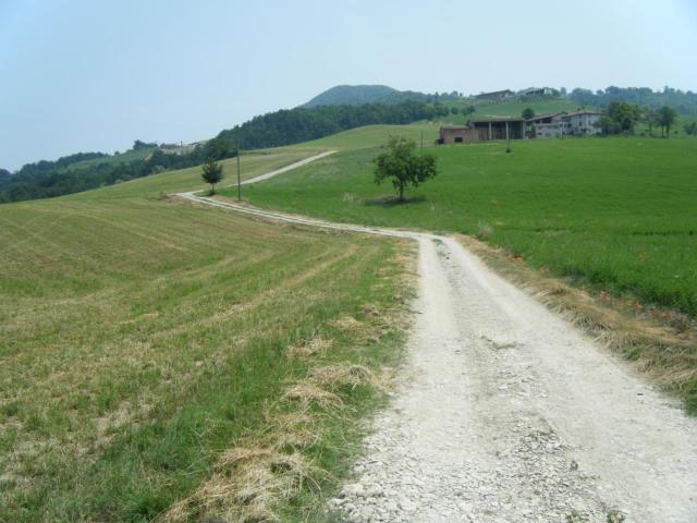 DSCF1145.JPG
