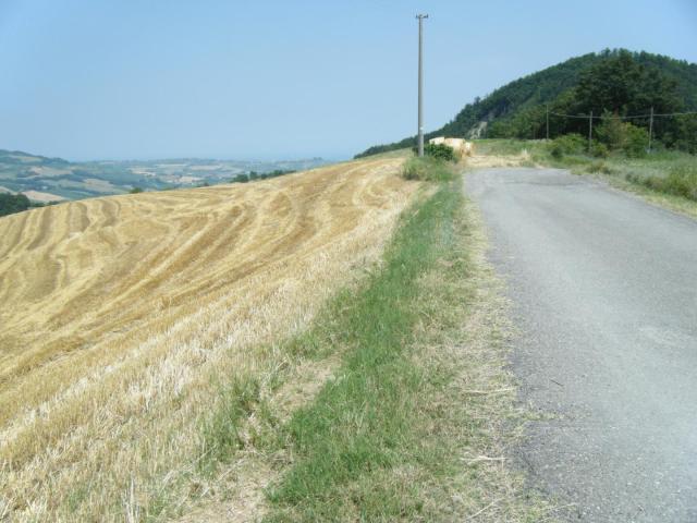 DSCF1573.JPG