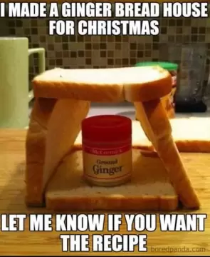 well-it-is-a-gingerbread-house-v0-q404hml1zlpb1.webp