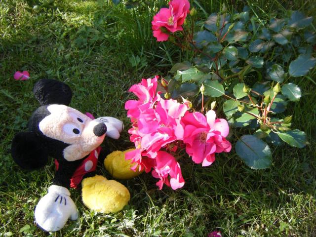 DSCF3172.JPG
