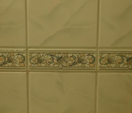 20250430_1517382.thumb.JPG.139010fb176acb50f7ffa9bec0f78bb7.JPG