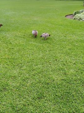 IMG20250518155614.jpg