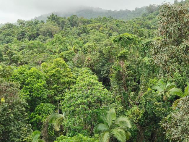 IMG20250525134309.jpg