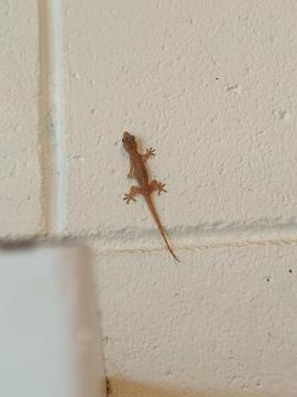 IMG_20250528_143533.jpg
