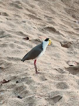 IMG_20250529_175256.jpg