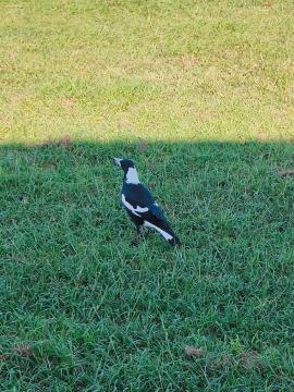 IMG_20250601_154857.jpg