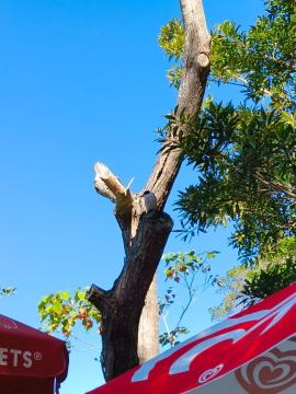 IMG_20250610_110646.jpg