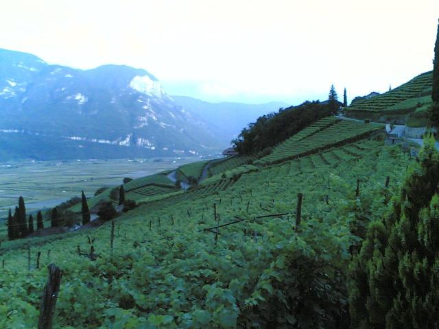 20080708(108).jpg