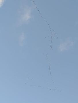 IMG-20250918-WA0000.jpg