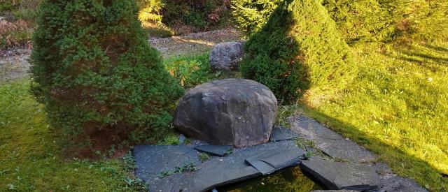 IMG_20250928_082751_hdr.jpg