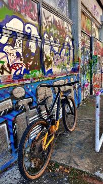 IMG_2165.jpeg