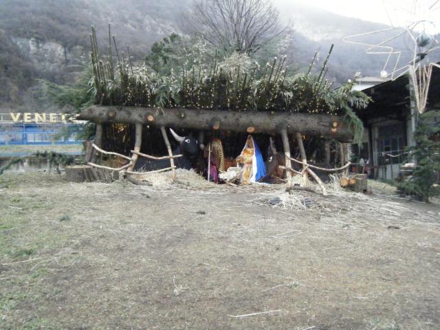 DSCF2569.JPG
