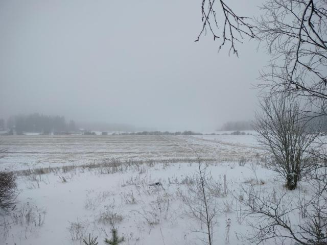 IMG20260117134232.jpg