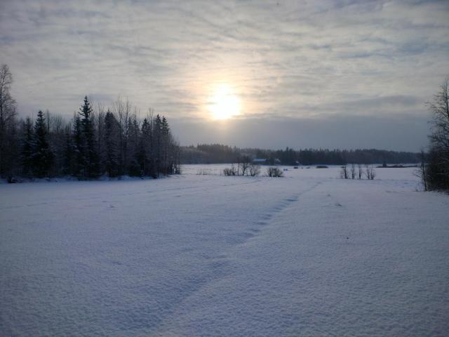 IMG20260124113440.jpg