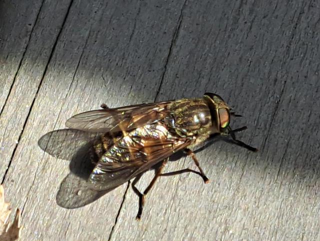 20260620_140643.jpg
